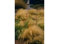 marset_lr_ginger-b-ip65-sizes-rust-800x1200.jpg