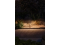 marset-lr-ginger-b-at-darkness-2-web.jpg