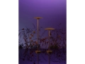 marset-outdoor-still-life-ginger-bollard.jpg