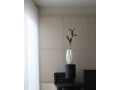 Bloom Slim Series Bone White - Studio - 6.jpg