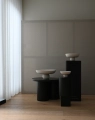 Baburu Series Birch Studio - 1.jpg
