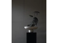Baburu Series Birch Studio - 22.jpg