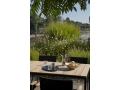 ATD_Retail_2024_Ville AV25_Ville AV34_Collect Glass SC78_Momento Jug JH38_Collect Tray SC64_2.jpg