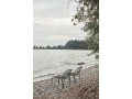 ATD_Retail_2024_Thorvald SC100_horizontal_2.jpg