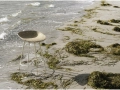 2023_Mat_Barstool_Seaweed_Cream_Steel_01.jpg