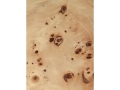fermLIVING_SS24_BurlCoffeeTable_Natural_1104268863_PostCoffeeTable_Small_Burl_1104269341_2.jpg