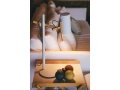 Scantling-at-the-sofa-800x1200.jpg