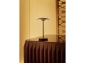 MARSET_LR_Ginger-poratble-on-a-reception-desk-869x1200.jpg