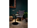 MARSET_LR_Ginger-portable-witha-cocktail-800x1200.jpg