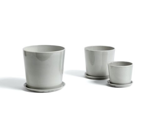 Botanical Family_light grey.jpg04.jpg