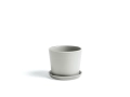 Botanical Family_light grey.jpg02.jpg