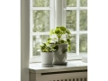 Botanical_Family_.jpg05.jpg