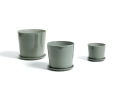 Botanical Family_dusty_green_.jpg05.jpg
