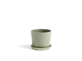 Botanical Family_dusty_green_.jpg02.jpg