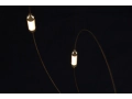 Flock_of_Light_.tif10.jpg