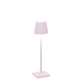 pink micro.webp