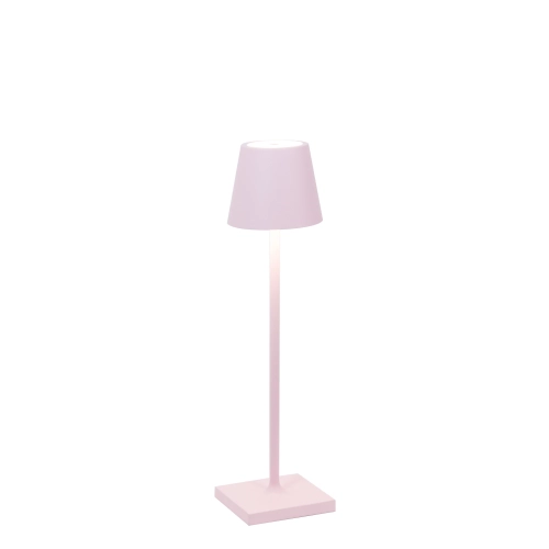 pink micro.webp