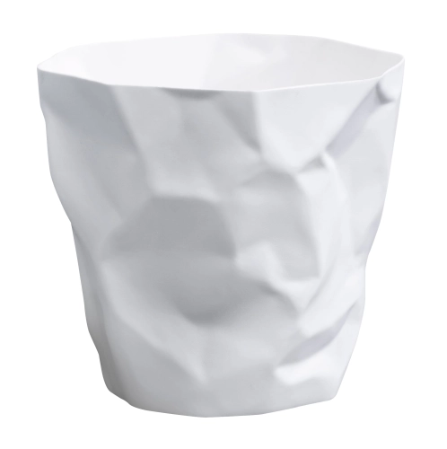 binbin_gray_isolated.jpg