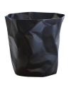 Binbin_black_cutout.jpg