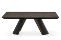 Apian_Plus_cs4132-R_P15-P29L_P14C_front_cl.jpg