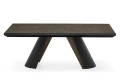 Apian_Plus_cs4132-R_P15-P29L_P14C_front_cl.jpg