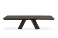 Apian_Plus_cs4132-R_P15-P29L_P14C_front_op.jpg