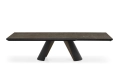 Apian_Plus_cs4132-R_P15-P29L_P14C_front_op.jpg