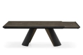 Apian_Plus_cs4132-R_P15-P29L_P14C_front_op_01.jpg