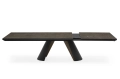 Apian_Plus_cs4132-R_P15-P29L_P14C_front_op_02.jpg