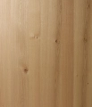 VITAL OAK.jpg