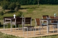 Traverse heat treated oiled ash collection 09.jpg