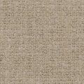 ulmus-06.jpg