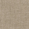 ulmus-06.jpg