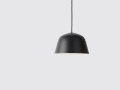 ambit small01.jpg