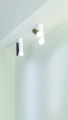 2tubes_ceiling_black_gold.jpg