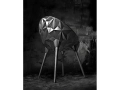 rock-chair-diesel.jpg