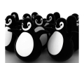 Pingy-3-b.jpg