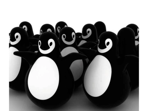 Pingy-3-b.jpg