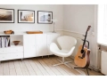 SWAN.photo2_.jpg