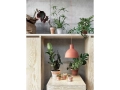 unfold1112.jpg