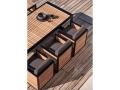 dna teak05.jpg