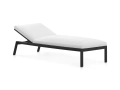 dna teak1109.jpg