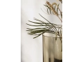 aer vase13.jpg
