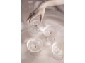 champagne101.jpg