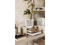 plant box large03.jpg