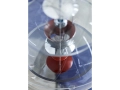 VP_Globe_24.jpg