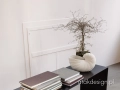 shell_pot-5.jpg
