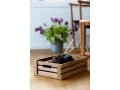 1600571_dania_apple_crate_c.jpg