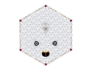 Crystal Teddy by Marcel Wanders - dywan