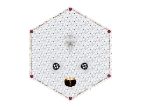 crystal teddy01.jpg
